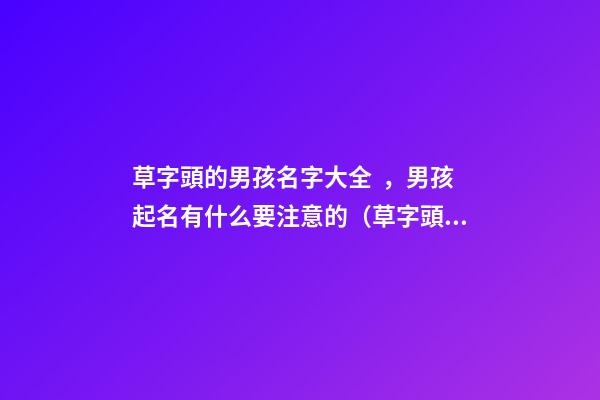 草字頭的男孩名字大全，男孩起名有什么要注意的（草字頭的男孩名字大全,男孩起名有什么要注意的嗎）